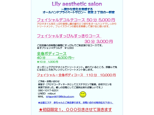 Lily aesthetic salon